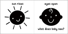 Load image into Gallery viewer, What Does Baby See? A High-Contrast Board Book