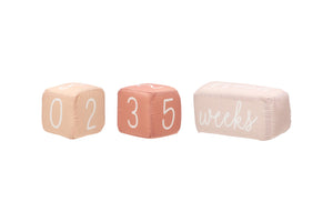 Plush Milestone Blocks