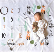 Load image into Gallery viewer, Unisex Baby Memories Photograghy Blanket
