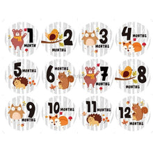 Load image into Gallery viewer, Cherish Every Moment: 12-Piece Baby Photography Monthly Milestones Photo Cards
