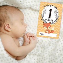 Load image into Gallery viewer, Celebrate Baby&#39;s Magical Milestones with Adorable Animal Photography Cards!
